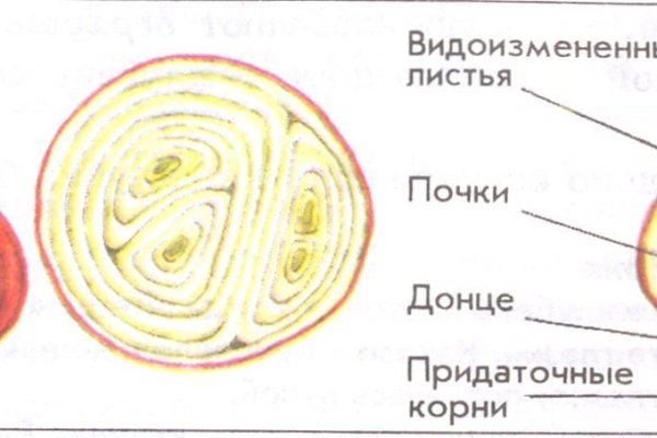 Кракен даркнет ссылка kraken link24 info