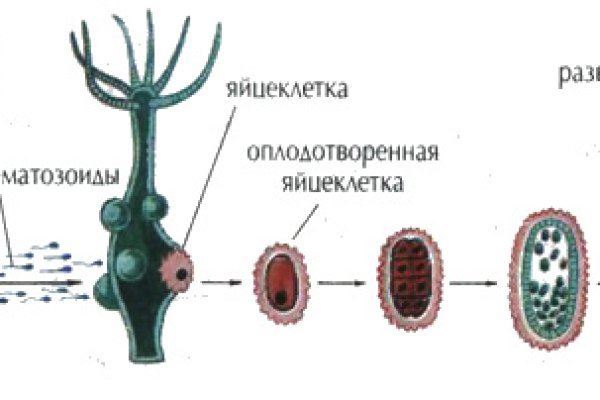 Что такое кракен площадка