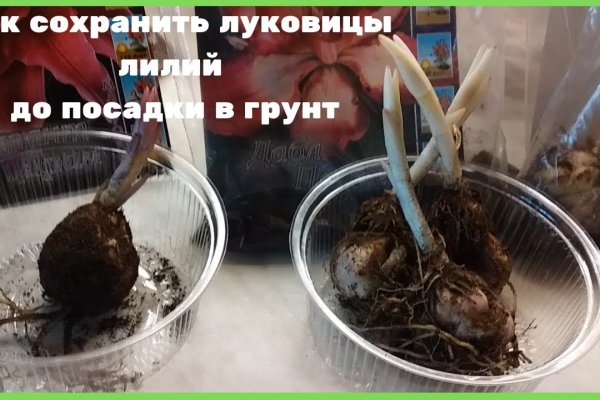 Кракен оф ссылка