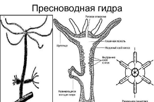 Что такое кракен только через тор