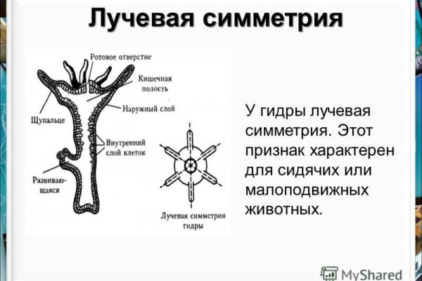 Кракен 16 at