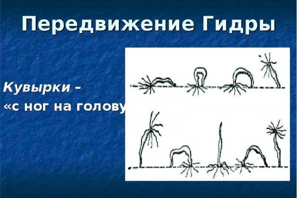 Кракен через браузер
