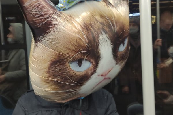 Кракен наркотики