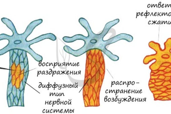Замена hydra