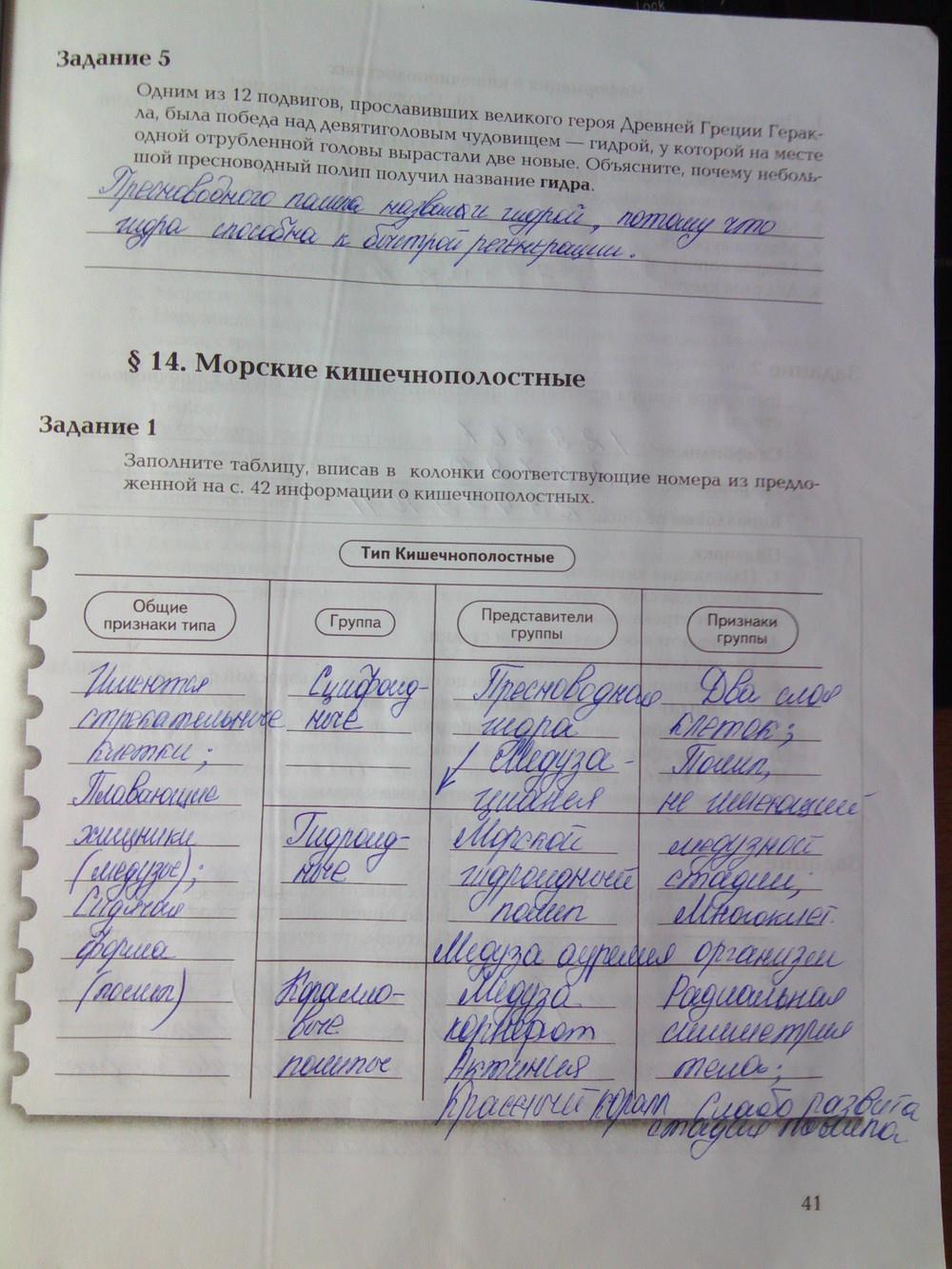 Ссылка на даркнет в тор