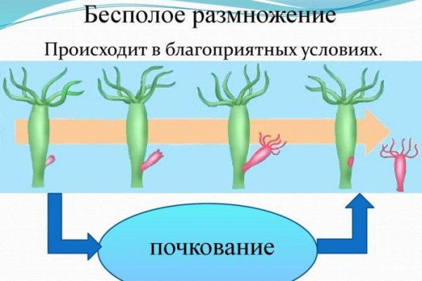 Кракен зеркало рабочее onion